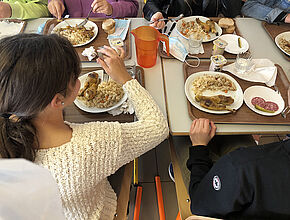 Agrandir l'image (fenêtre modale)